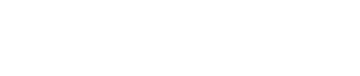 Fédération Nationale Solidarité Femmes